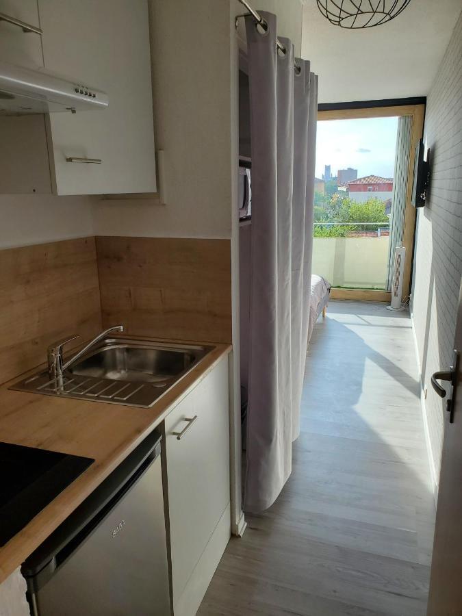 Studio Avec Balcon, Vue Sur Jardins Et Cathedrale Albi Kültér fotó